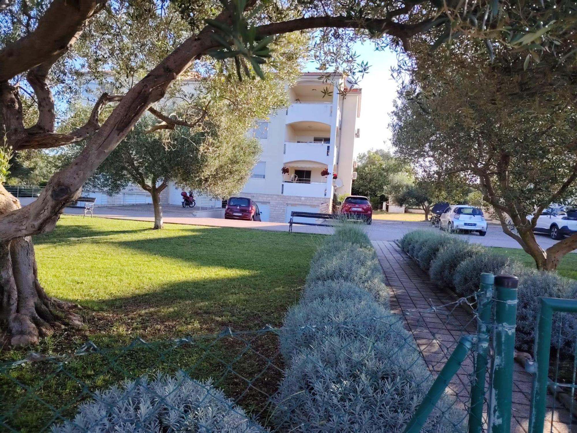 Luxury Beach Apartment 比奥格勒·纳·莫鲁 外观 照片